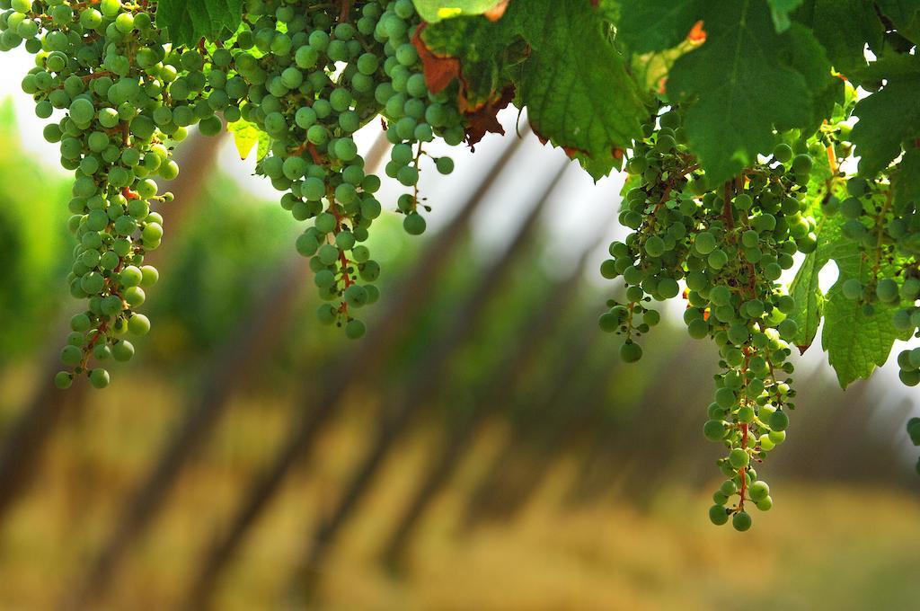 B&B Camignone Franciacorta Passirano Εξωτερικό φωτογραφία