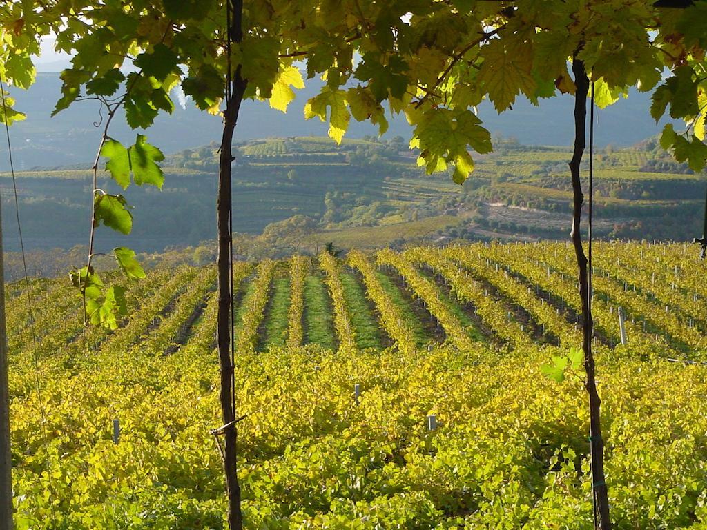 B&B Camignone Franciacorta Passirano Εξωτερικό φωτογραφία